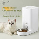 Smart Automatic Pet Feeder